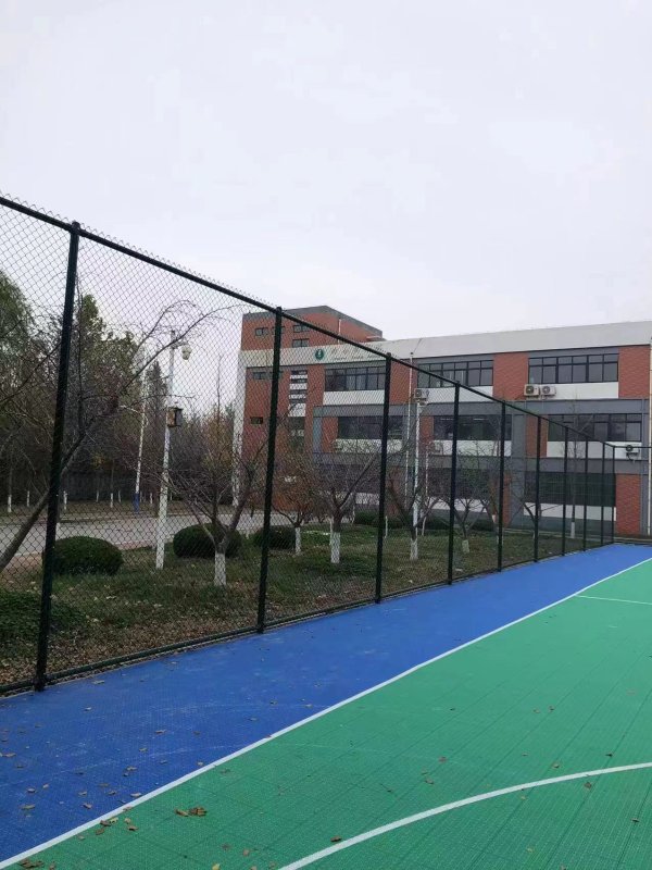 墨绿口字形围网